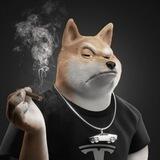 Shib Elon 2.0 (Launched)