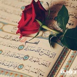 💛💚مُعلمة قُرآن أون لاين | Quran💚💛