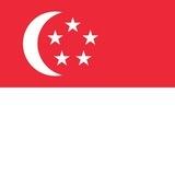 🇸🇬新加坡外围🍬
