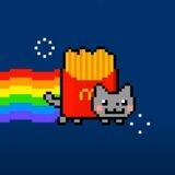 Shaka Cat