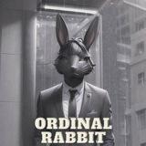 ORDINAL RABBIT| BSC