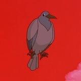 It’s a bird.