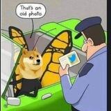 DogeMorphosis | BSC Entry