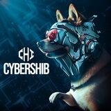 $CYBERSHIB PORTAL