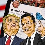 ELONXTRUMP