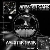 Arsip ARESTER