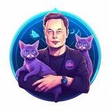 ELON CAT OFFICIAL 🐱