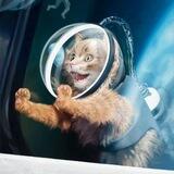 Space Cat