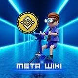 META WIKI 🎮