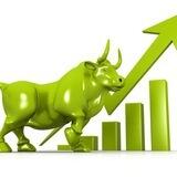 BULLISH INU 📊