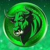 Bullish Run Bsc 4% tax