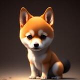 ShibSpaceX