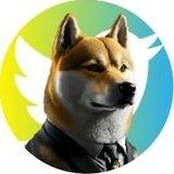 DOGE CEO GROUP