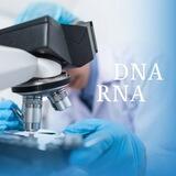 🔬🧪🩺DNA & RNA 🧬 ⚗️