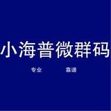 小海普微群码