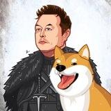 Of Course I Still Love $SHIBA
