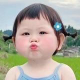 纸飞机全网贴纸GIF更新