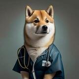 Shibarium Scan - $VET