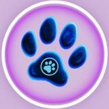🐾Ever Paw 🐾