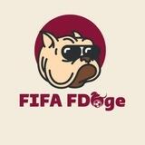 FIFA FDoge China Verify