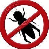 Insekten Lebensmittel Blacklist
