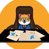 BabyDoge CEO ($BCEO)🇨🇳