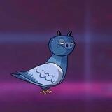 PIGeon