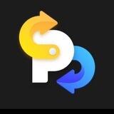 PP PAY小额跑分