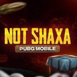 NOT SHAXA | CHAT💬
