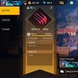 Virtus pro Proverka