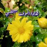 العلم الصحيح السلفي ٢