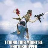 Sharkjumping