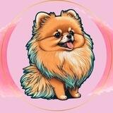 Pom Inu