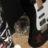Catatan
