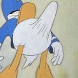 Boner Portal