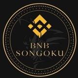 BNB SONGOKU GLOBAL GROUP