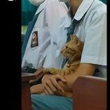 pangku+
