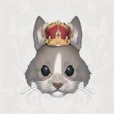 BunnyKing 🐰 BSC | LAUNCH in 12:00UTC