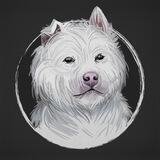 Xiasi Quan Inu | XQINU