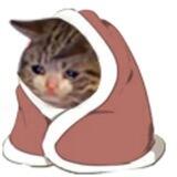 @phuisi's Payment.