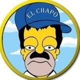 Chapo Coin [ENTRY]