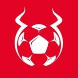 Matchcup 官方中文组 🇨🇳