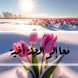 معا إلى الجنة أخية