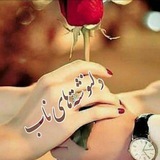 🍃 دلنوشته های ناب 🍃