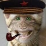 Гоколиный слаз