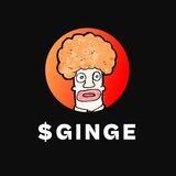 $GINGE PORTAL