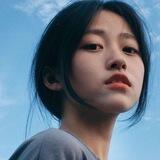 玫瑰话术