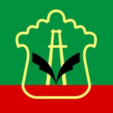 Светлый | Альметьевск