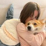 Корги🐶Лошади🐴Лайфстайл👩🏻‍🎤