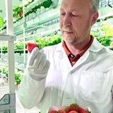 Агроникс сити-ферма